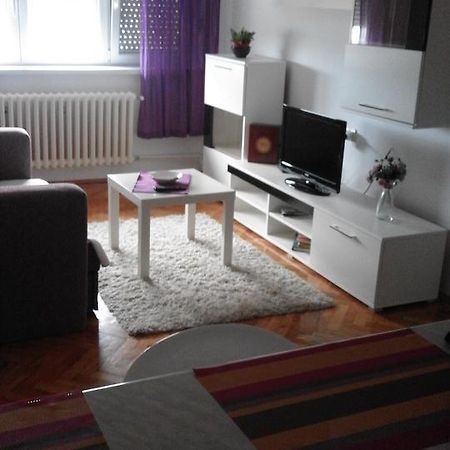 Tami Apartment Novi Sad Exterior photo