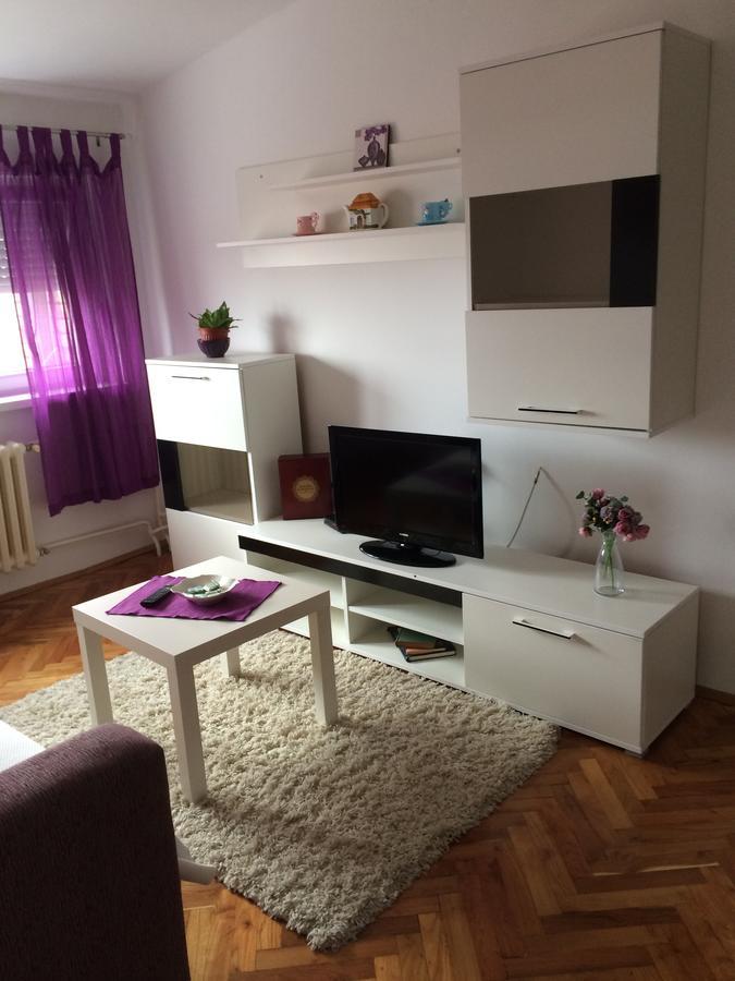 Tami Apartment Novi Sad Exterior photo